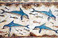 Akrotiri dolphins