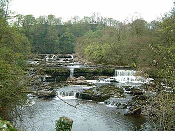 Aysgarth Falls (Upper).jpg