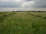 Bardney Abbey nave - geograph.org.uk - 144885.jpg