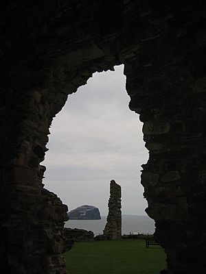 Bass Rock from Tantallon