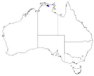 Boronia viridiflora DistMap128.png