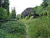 Brundall Church Fen