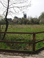 Caston Tower Windmill.jpg