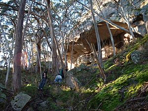 Cave on Cave Hill