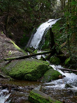 Coal Creek Falls 04048