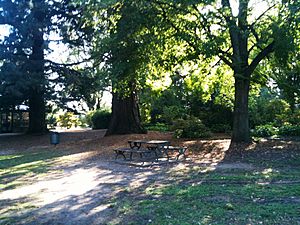 Cook Park, Orange 1.jpg