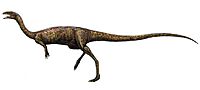 Elaphrosaurus.jpg