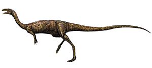 Elaphrosaurus