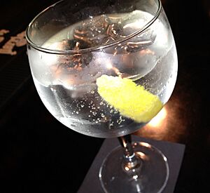 Gin and tonic with lemon