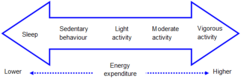 Intensity and Energy Expenditure