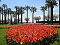 Jardins de la croisette, Cannes