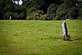 Kilmashogue Standing Stones