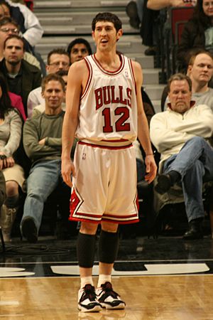 Kirk Hinrich-crop.jpg