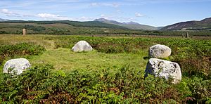 Machrie Stone Circle 4 2012