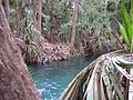 Mataranka, Australia - panoramio