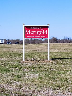 Merigold Welcome Sign.jpg