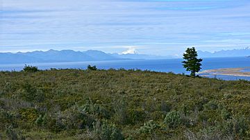 Monte Sarmiento in the distance.jpg