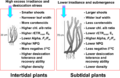 Morphological and photoacclimatory responses of Zostera marina