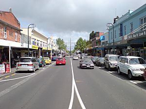 Onehunga Mall Layout In Onehunga