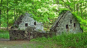 Orange Powder Mill ruins