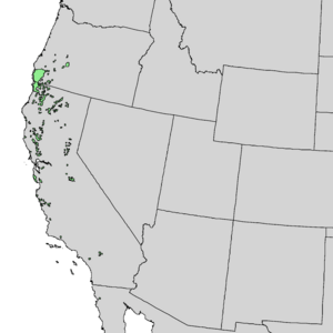 Pinus attenuata range map 1.png