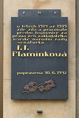 Plamínková deska Staromák P7138361