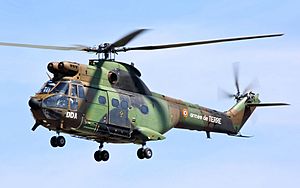 Puma - RIAT 2010 (cropped).jpg