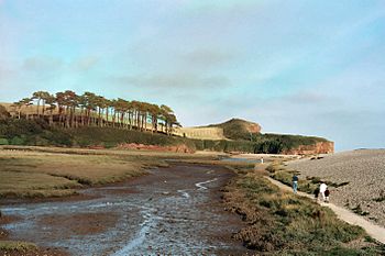 River Otter Devon.jpg