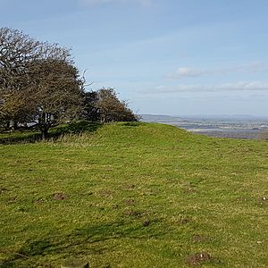 Round barrow near Chanctonbury Ring