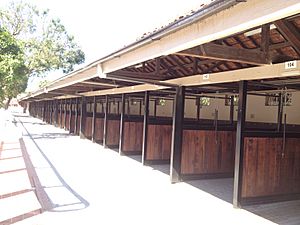 Stables, Eagle Farm Racecource 1