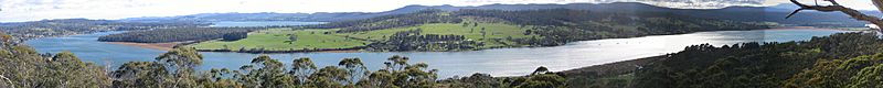 Tamar River from Brady's lookout