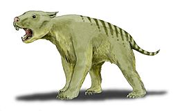 Thylacoleo BW.jpg