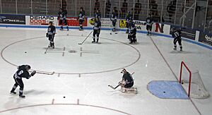 UPEI Panthers hockey