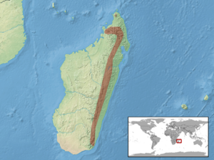 Uroplatus sikorae distribution.png