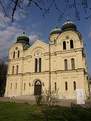 Vidin St Demetrius Cathedral 1