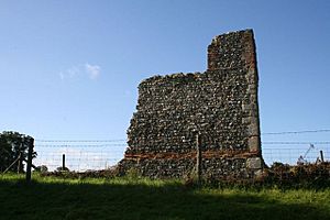 Wallingford castle 3 - geograph.org.uk - 920481