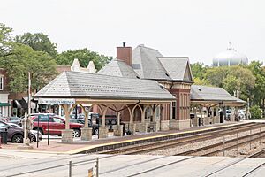 Western Springs Station Illinois-0012