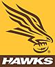 2006 AFL Hawthorn