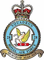 Squadron badge