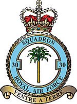 Squadron badge