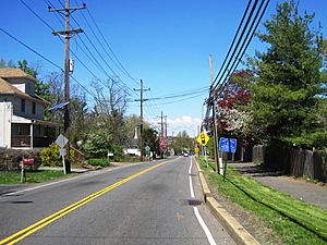 Photo of Adams along Cozzens Lane