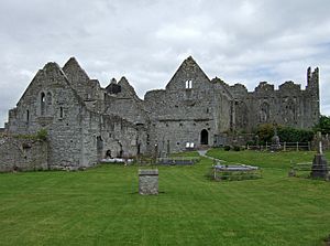 Askeaton Friary - geograph.org.uk - 497997