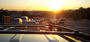 CastroValleyThruthesunroof