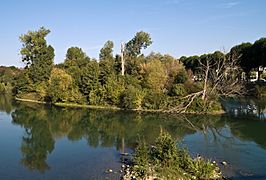 Chelles ile Refuge