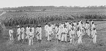 Convict-leasing children