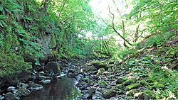 Duchal Castle glen & the Burnbank Water, Duchal Bridge area, Kilmacolm