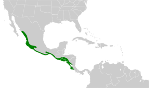 Eupsittula canicularis map.svg