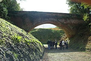 Excavating Imberhorne cutting