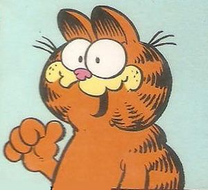 Garfield the Cat