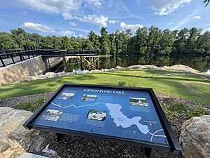 Gibson Pond -- Lexington, SC